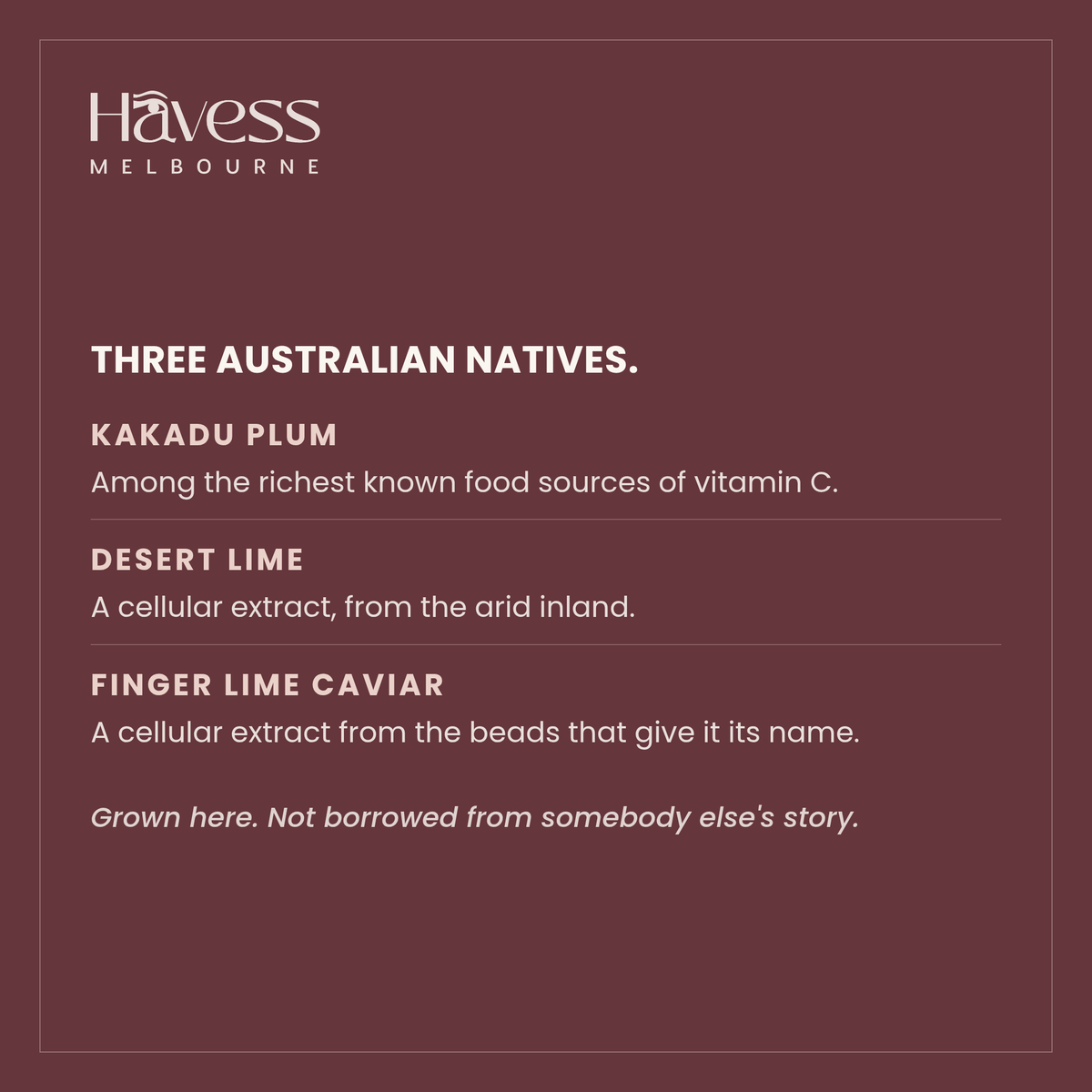 Three Australian natives: Kakadu plum, desert lime and finger lime caviar.